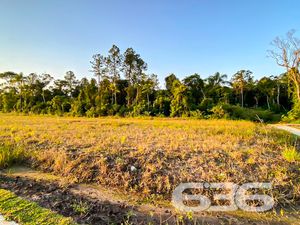 Terreno - Volta Redonda - Araquari